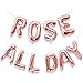 Sparkle and Bash Rosé All Day Balloons, Party Decorations - Rose Gold Foil, 16 Inches
