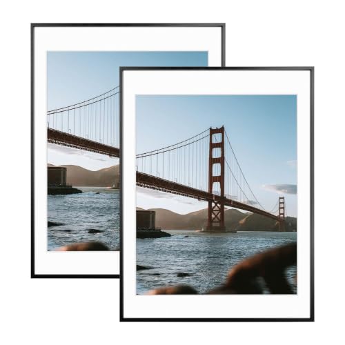 Frametory 18x24 Black Aluminum Metal Picture Frame Mat for 16x20 Glass