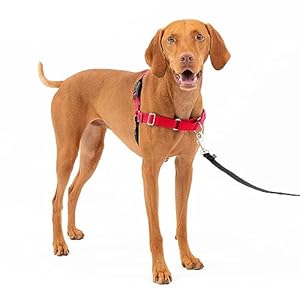 PetSafe Easy Walk No-Pull Dog Harness – The Ultimate Harness to Help Stop Pulling – Take Control & Teach Better Leash Manners – Helps Prevent Pets Pulling on Walks, Medium, Red/Black