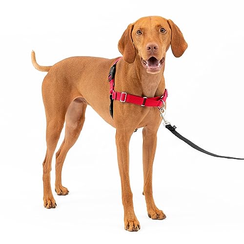 PetSafe Easy Walk No-Pull Dog Harness – The Ultimate Harness to Help Stop Pulling – Take Control & Teach Better Leash Manners – Helps Prevent Pets Pulling on Walks, Medium, Red/Black