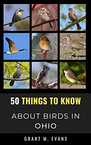 50 Things to Know About Birds in Ohio: Birdwatching in the Buckeye State (50 Things to Know About Birds & Birdwatching: Birdwatching guides, bird identification tips, and regional bird books)