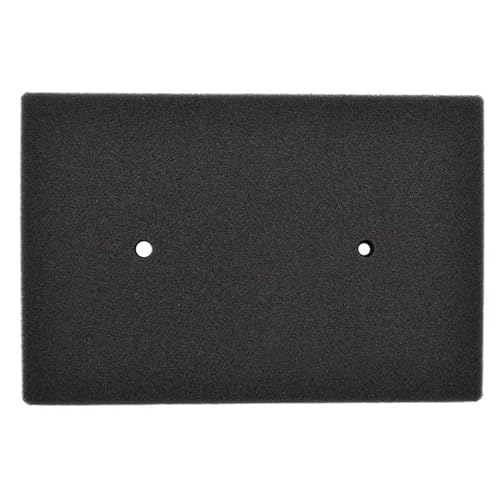 Filtre d'air moto pour Kawasaki Ninja 250R EX250J et Ninja 300 ABS