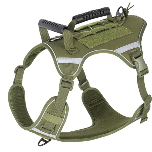 Ȃybgn[lX,ybgn[lX - ˃tgNbvxXg - SȖ̎Û߂̃xXgn[lXAϖՐ߉\ȊȒPnhEH[LOAnCLOpxXgn[lX