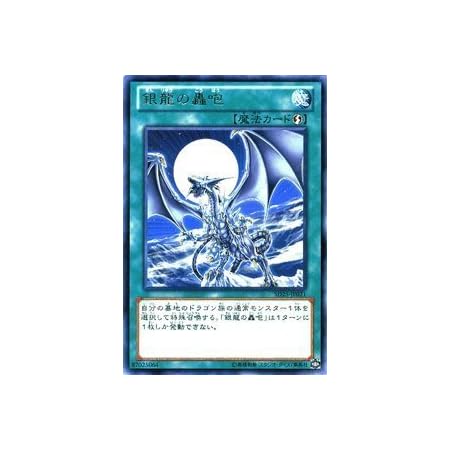 Amazon 遊戯王カード 銀龍の轟咆 青眼龍轟臨 Sd25 収録 Sd25 Jp021 R 遊戯王ゼアル トレカ 通販