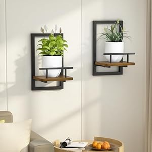 2-Pack Floating Shelves for Indoor Plants, Wall Mounted Storage Shelves for Bedroom, Living Room, Kitchen, Office, Bathroom Decor