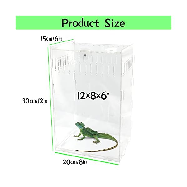Insect Breeding Box 5x5x8 Inch Acrylic Reptile Terrarium - Clear ...