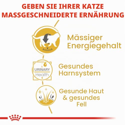 Ansicht 7