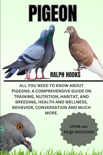 How many times do pigeons mate in a day How many times do pigeons mate in a day