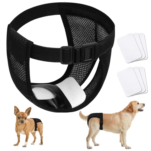 Aomig Culotte pour Chiens Femelle M