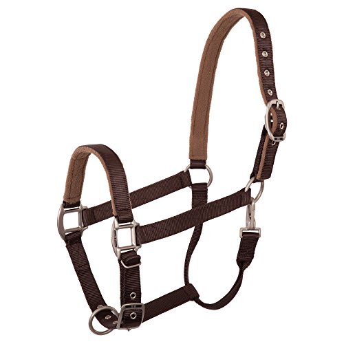 Halfter BR Event azul de cincha fuerte para caballo grande 2