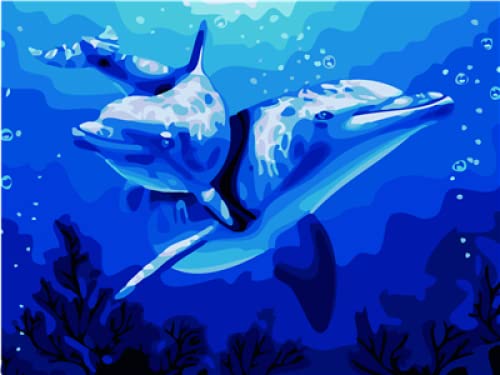 Cuadro de diamantes kit de inicio DIY de delfines un regalo divertido de 30x40 cm