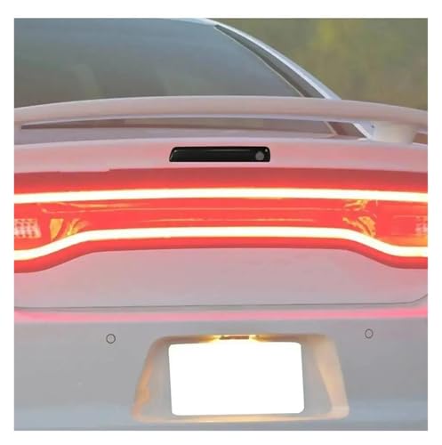 Protector de luz trasera para Dodge Charger 2011-2014 en ABS negro 2