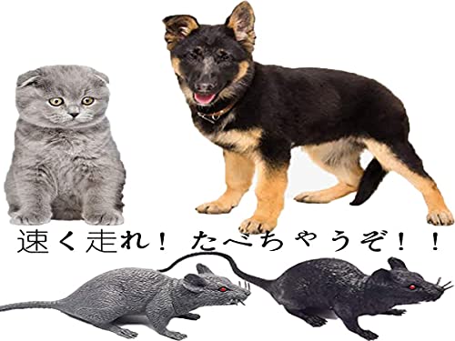 最安値 猫 犬の狩猟本能を満たすペットオモチャ 400 ネズミ2匹 パーティー飾りhema 動物認識 ペット肥満解消 声が出る悪戯道具デコレーション 飾り ホラー お化け屋敷 いたずらに最適なラット 干支置物 子 鼠 ネズミ 置物 飾り物 運動不足のペットたちに最適の価格比較