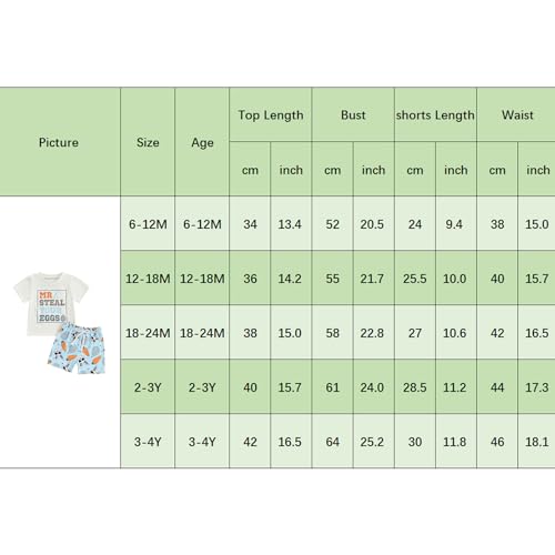 Image of BeQeuewll Toddler Baby Boy Easter Outfit Letter Bunny Print Short Sleeve T-Shirt and Shorts Summer Clothes Set