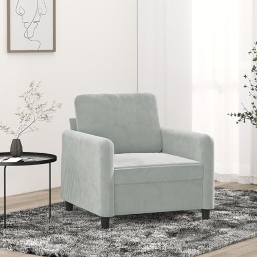 Yisssmeng Light Grey Velvet Loveseat Chair 30.7x30.3x31.5 in Small Couch