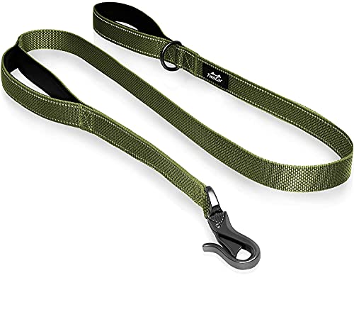 TwoEar Dog Lead 1.2m Long - Traffic Padded Two Handle - Heavy Duty - Double Handles Lead for Training Control - 2 Handle Leashes for Large Medium Dogs - Reflective Pet Leash Dual Handle, Green