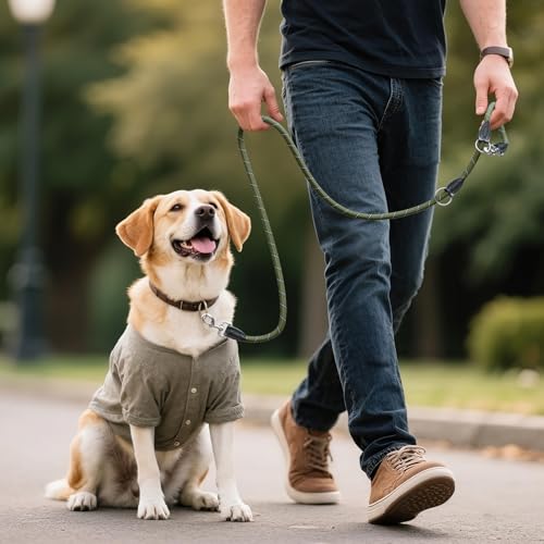 Aystkniet 2M Verstellbar Hundeleine für Große und Mittlere Hunde, Robuste Nylon Reflektierende Freihandleine mit 2 Karabiner, Vielseitig Führleine und Umhängeleine mit 250kg Zugkraft, Grün, 12mm