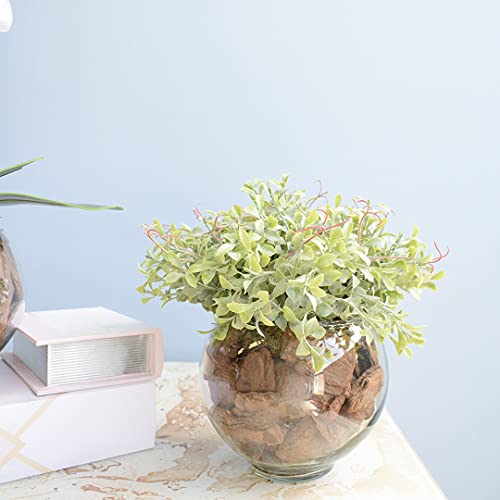 Kit com 2 Arranjos Flor Artificial Orquídea Branca e Peperômia no Vaso de Vidro