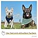 PiuPet® Hundehalstuch I 2er Set Hundehalstücher I Hundehalstuch große Hunde I Halstuch Hund I Stylisches Bandana große & kleine Hunde | Hundebekleidung & Zubehör I Blau/Türkis | (S) 58x40x40cm