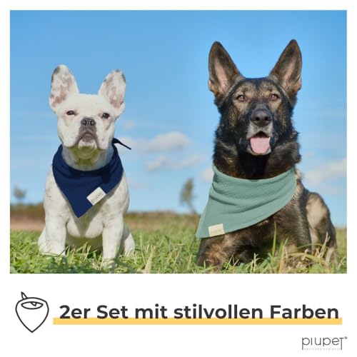 PiuPet® Hundehalstuch I 2er Set Hundehalstücher I Hundehalstuch große Hunde I Halstuch Hund I Stylisches Bandana große & kleine Hunde | Hundebekleidung & Zubehör I Blau/Türkis | (S) 58x40x40cm