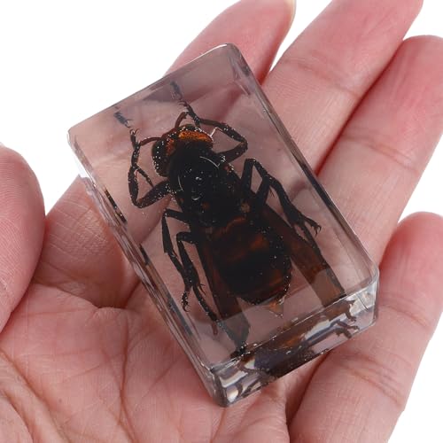 Pisapapeles de insectos de resina para uso científico y oficina 3