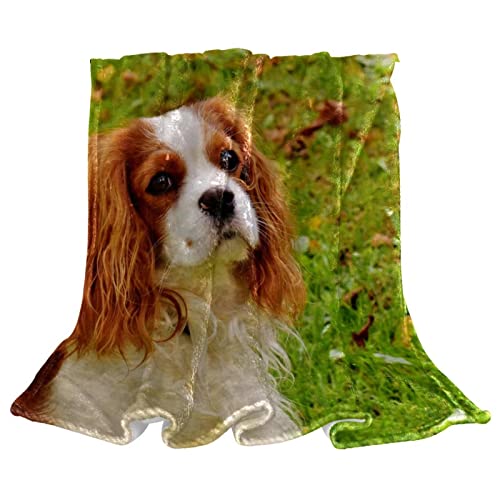 Couvre-lit chien moelleux et couverture de lit douce pour enfants