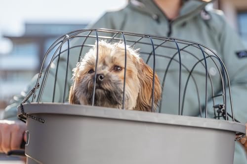 TRIXIE Hundekorb für das Fahrrad vorne bis 5 kg 42 × 39 × 30 cm – Hundefahrradkorb für Lenker 22–32 mm, aus Kunststoff und Gitter mit Schnellfixierung - 13096