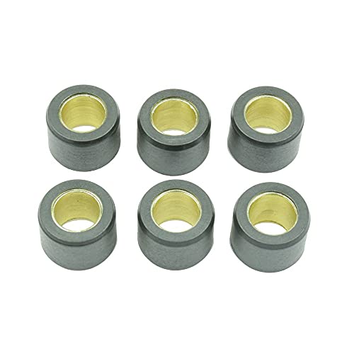 Athena S41000030P050 rouleaux 20x15 mm de 14,5g pour variateur de scooter