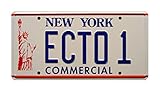 Standard-USA-Nummernschild-Maße (30,5 x 15,2 cm).
