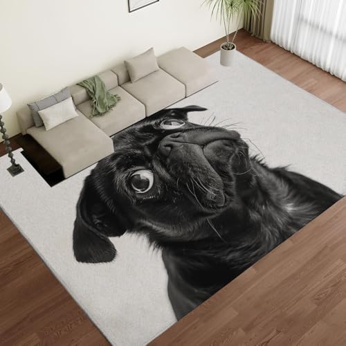 Tapis de salon classique vintage 80x160 cm motif carlin noir de qualité - 2