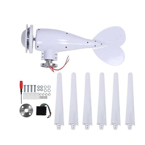Eujgoov 300W Windkraftanlage 6 Blade 1,0 M/s Startpreis All Wetter Sicheres Ruhige AC Hybrid Bereit für Home Farm RV Boat Generator
