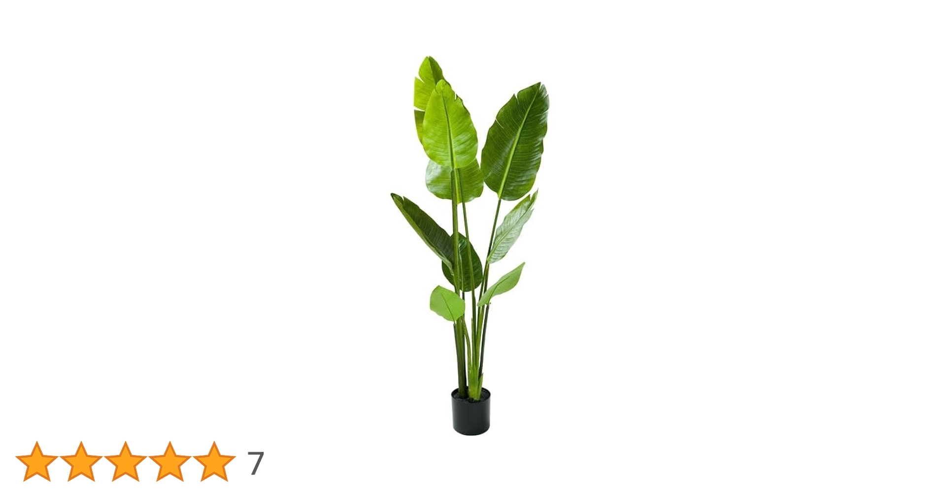 41o-Jyavm1L.jpg_BO30,255,255,