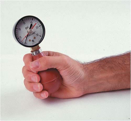 Baseline Pneumatic Squeeze Dynamometers - 30 psi - with rese
