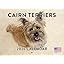 Cairn Terrier