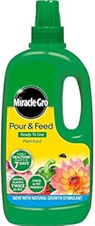 Miracle-Gro Pour & Feed Liquid Plant Food 1 Litre with a Thank You Sticker - Ready To Use