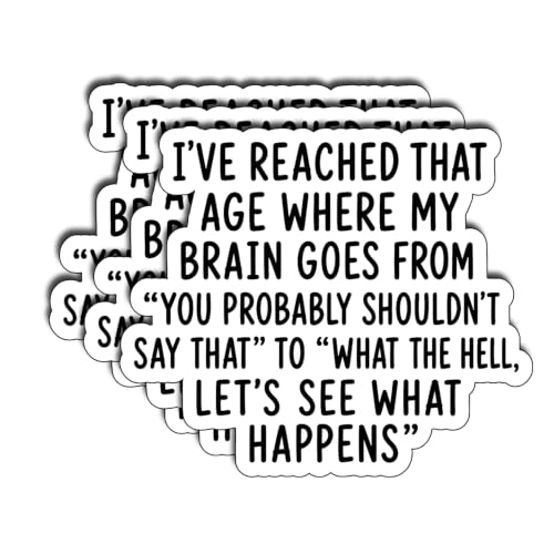 (3Pcs) I’ve Reached that Age Where My Brain Goes from You Probably Shouldn’t Say that to What the Hell Stickers 3 Inch Funny Aging Vinyl Decals for Water Bottles Laptops Tumblers and Notebooks