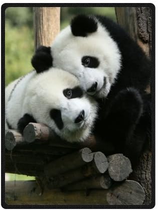 Custom Cute and Lovely Panda Bed/Sofa Soft Throw Blanket 58x80inch (Large)