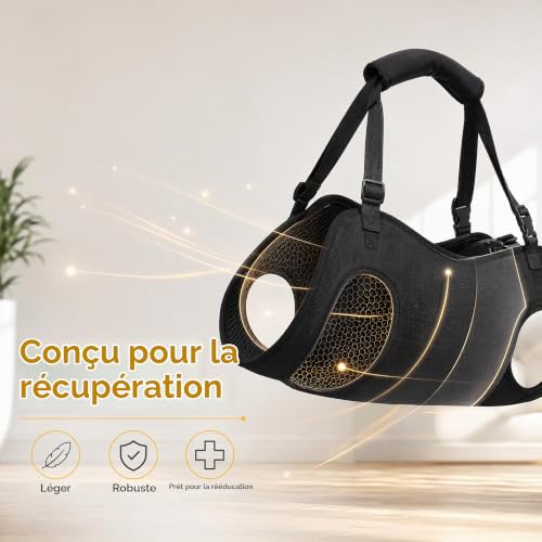 HINATDD Harnais de Soutien et Levage pour Chien Réglable Taille L Noir – vue 5