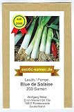Lauch, Porree - späte Sorte - für Herbst-/Winterernte - Blue de Solaise - 200 Samen ...