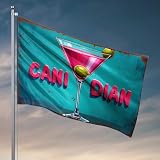 Stuff For Your Room - Vibrante cristal de martini con fondo de oliva sobre turquesa, bandera para hombre, decoración de bar al aire libre (30 x 45 cm)