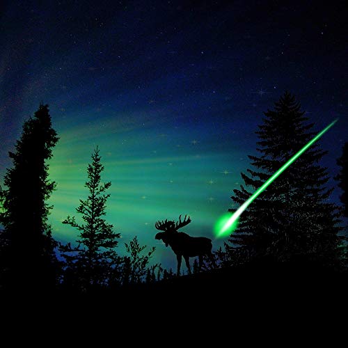 Hunter Action 6Pcs S Led Lighted Nocks For Arrow Archery Nocks Hunting Led Arrow Nocks Fits For Arrows With 0.244''/6.2Mm Inside Diameter(Green) … #TOP4