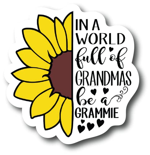 in A World Full of Grandmas Be Grammie 4.0 inch Refrigerator Magnets – Funny Magnets for Fridge Dishwasher, Whiteboard, Toolbox or Car and Truck PM881