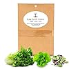 Lettuce Mix Seeds for Planting Home Garden Outdoors or Indoors - Variety Pack of Romaine - Butter - Gourmet Leaf Salad Mesclun Mix Blend - Lettuce Combo Pack. #4