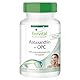 Fairvital | Astaxanthin + OPC - 90 Kapseln - mit OPC, Astaxanthin, Acerola mit Vitamin C, Nicotinamid (Vitamin B3) und Vitamin E - qualitätsgeprüft und hochdosiert - 100% vegan - Made in Germany