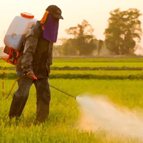 Caf&eacute; Brasil 681 &ndash; Agrot&oacute;xicos: rem&eacute;dio ou veneno Podcast By  cover art