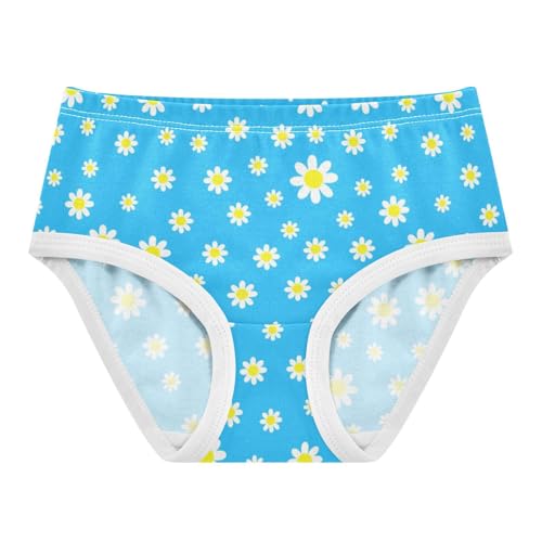 Joisal Cartoon Daisies Light Blue Little Girl Panties Girls Underwear Toddlers Cotton Aesthetic Underpants Briefs 2t
