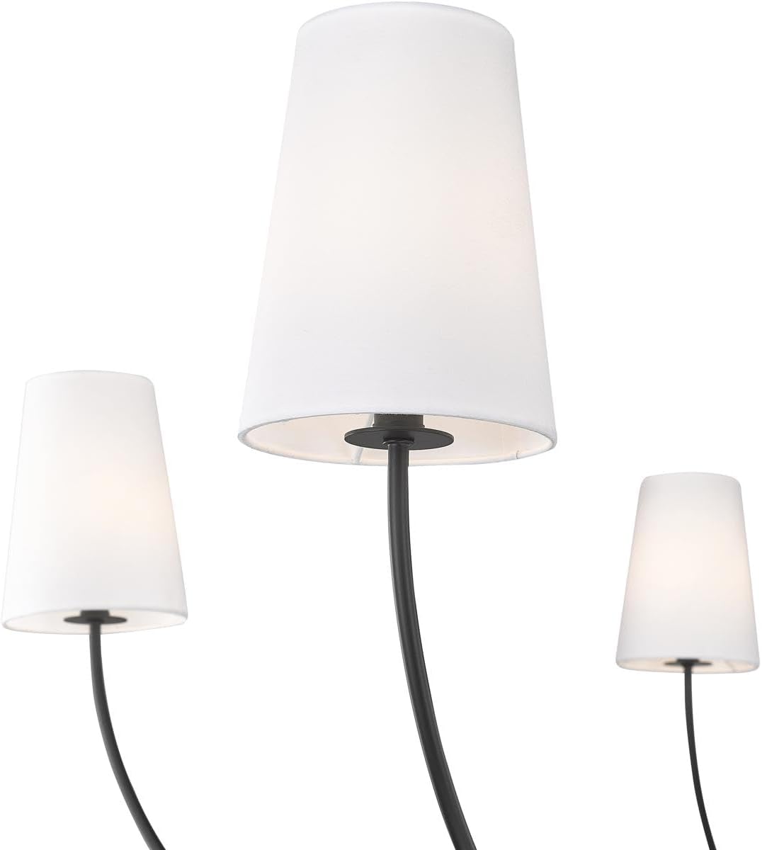 Z-Lite 3040-62MB Shannon Chandelier, 6-Light 360 Total Watts, Matte Black