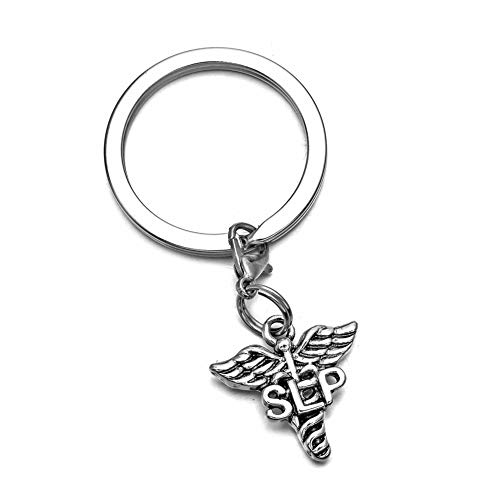 Miss Pink DPT Doctor of Physical Therapy Gifts Medical Caduceus Keychain Physical Therapist Jewelry for Graduation Brithday Christmas