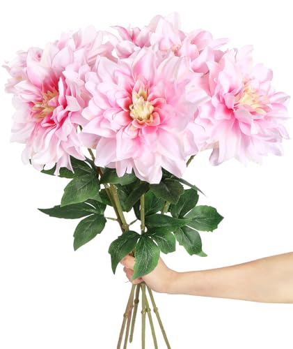 INSUNSIX Light Pink Dahlias