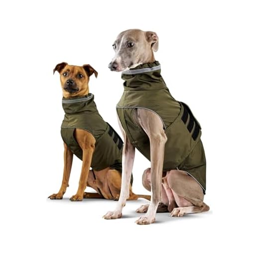 ZAUBERPFOTE® Hunderegenmantel London